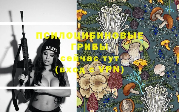 PSILOCYBIN Ельня