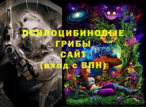 прущие грибы Дмитров