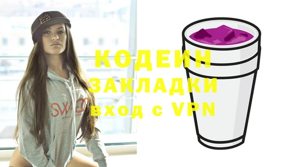 PSILOCYBIN Ельня
