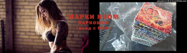 прущие грибы Дмитров
