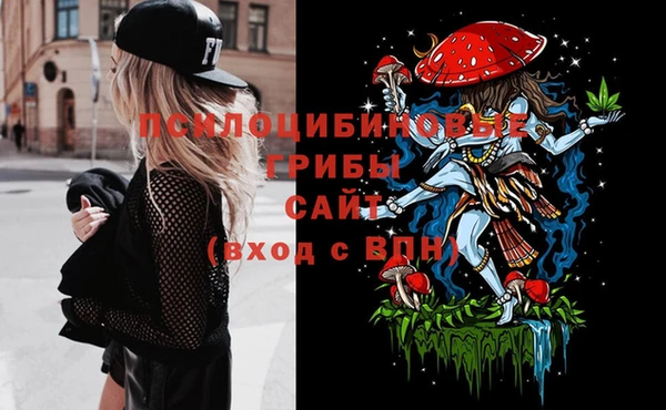 PSILOCYBIN Ельня