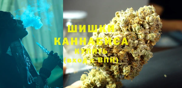 PSILOCYBIN Ельня