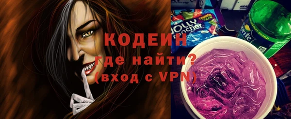 PSILOCYBIN Ельня