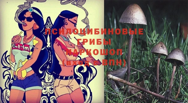 кокс Елизово