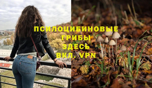 дживик Чегем