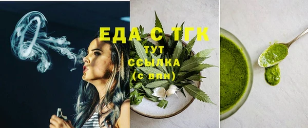 PSILOCYBIN Ельня