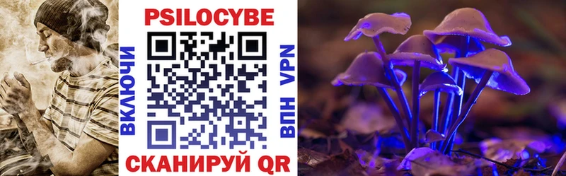 купить наркоту  Закаменск  Псилоцибиновые грибы MAGIC MUSHROOMS 